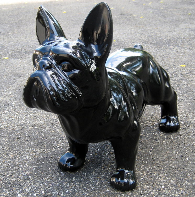 franse bulldog  hoogglans   zwart-hond