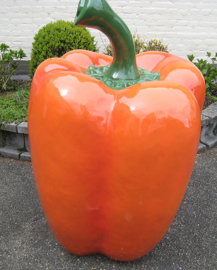 Paprika oranje XXXL