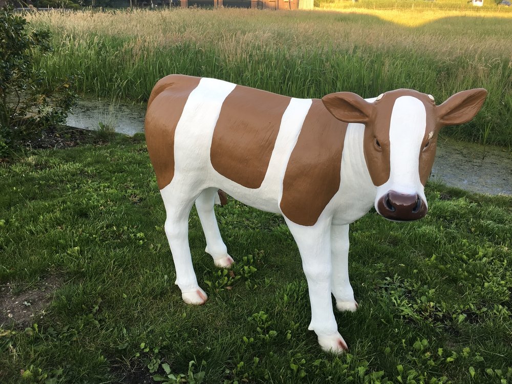 koe kalf Geertje1 roodbont