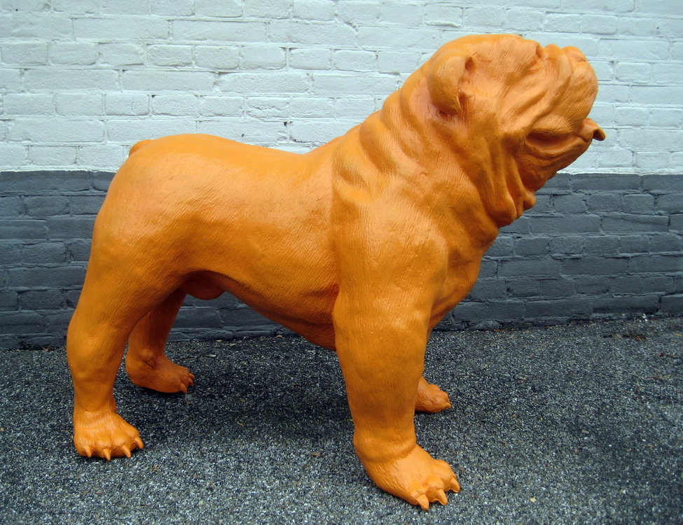 engelse bulldog polyester oranje