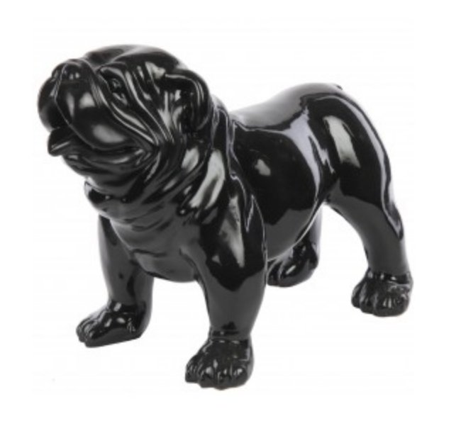 Engels Bulldog  Bobbi