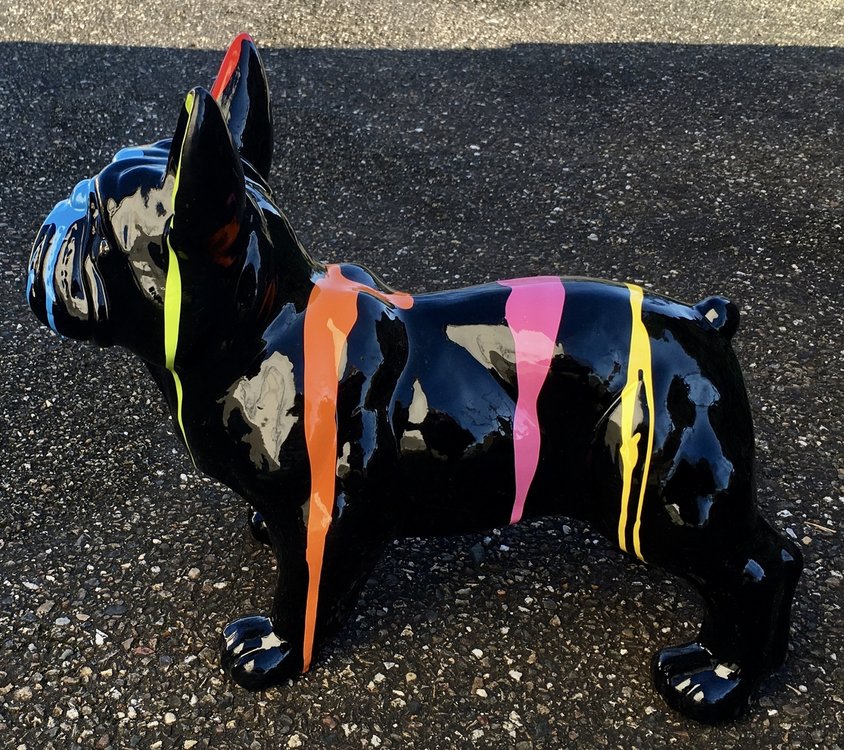 Franse bulldog zwart dripping  50cm-hond