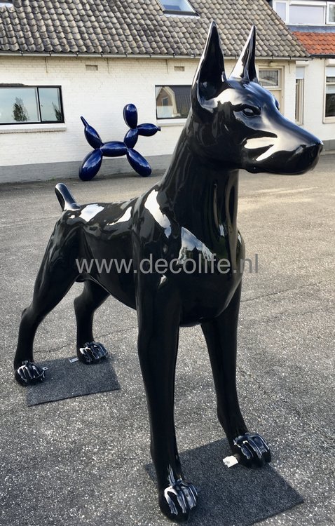 Dobermann design beeld  XXL zwart- hoogglans polyester hond