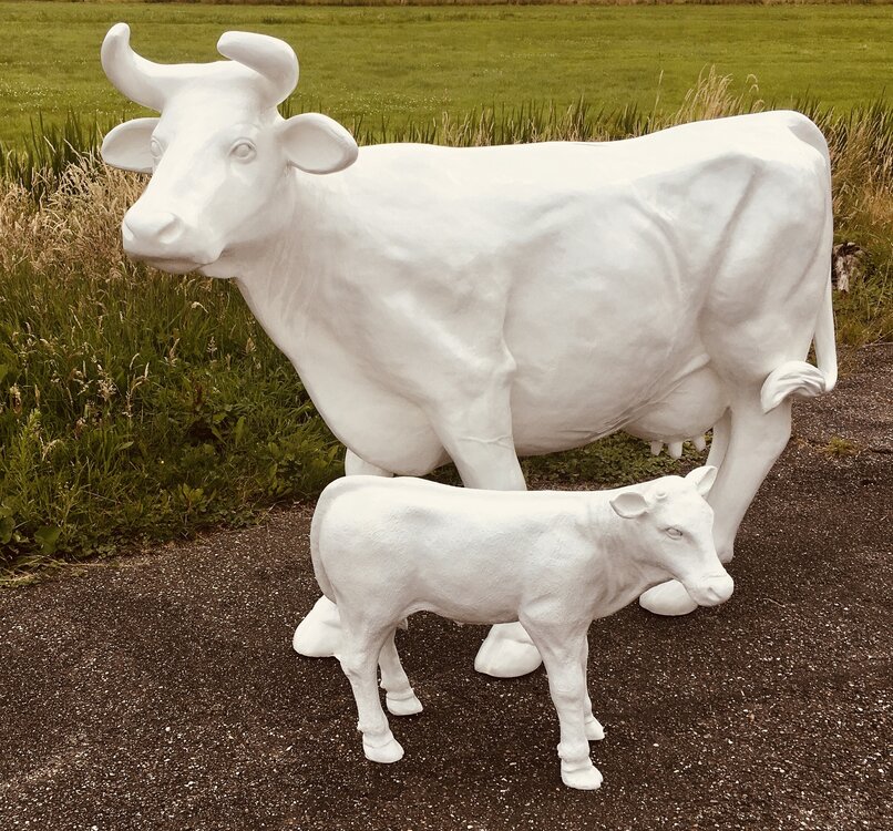 Koe beeld polyester Levensgrote koe met kalf- wit