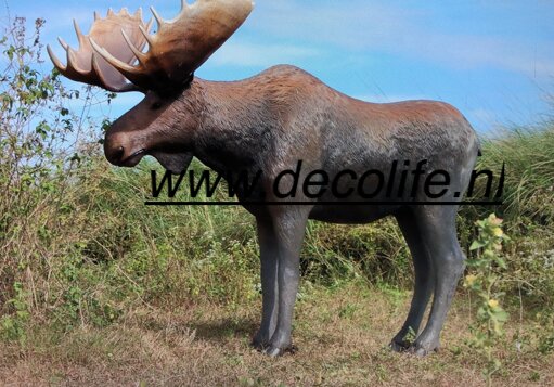 Eland Beeld Life Size 236cm polyester