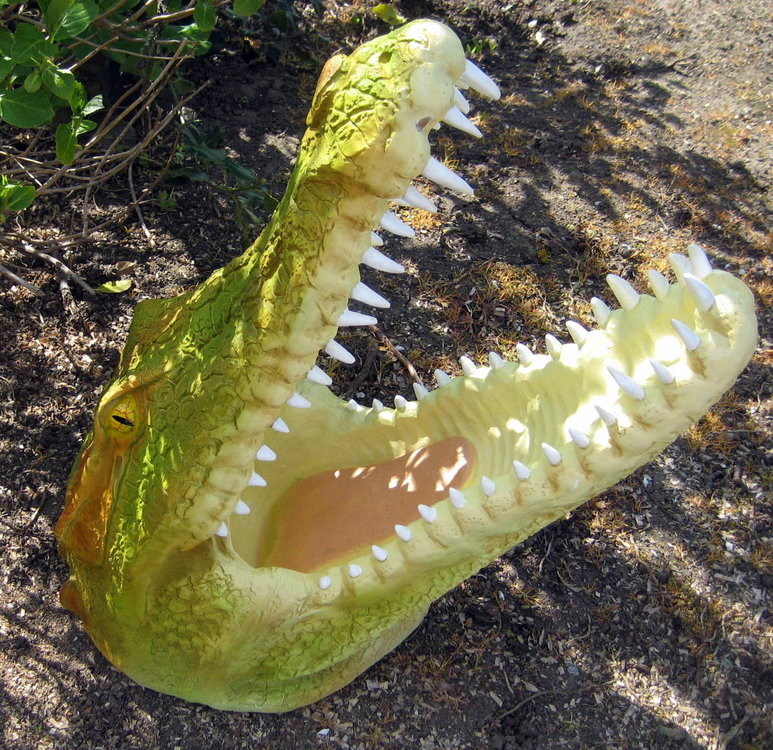 Krokodil kop life size polyester