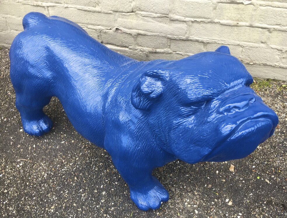 engelse bulldog-Ceasar-65 cm -polyester beeld blauw-hond