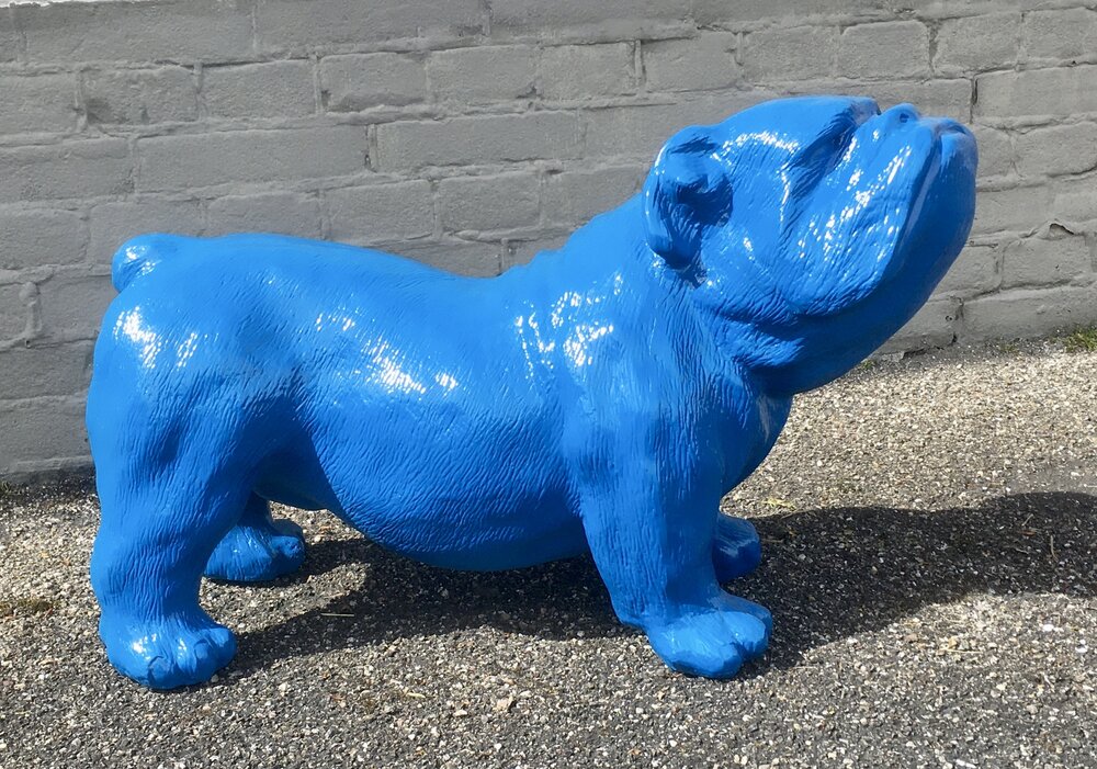 engelse bulldog Ceasar 65cm polyester aqua blauw -hond