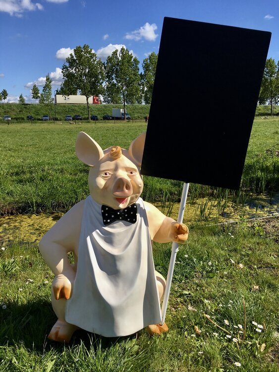 Varken Beeld met krijtbord