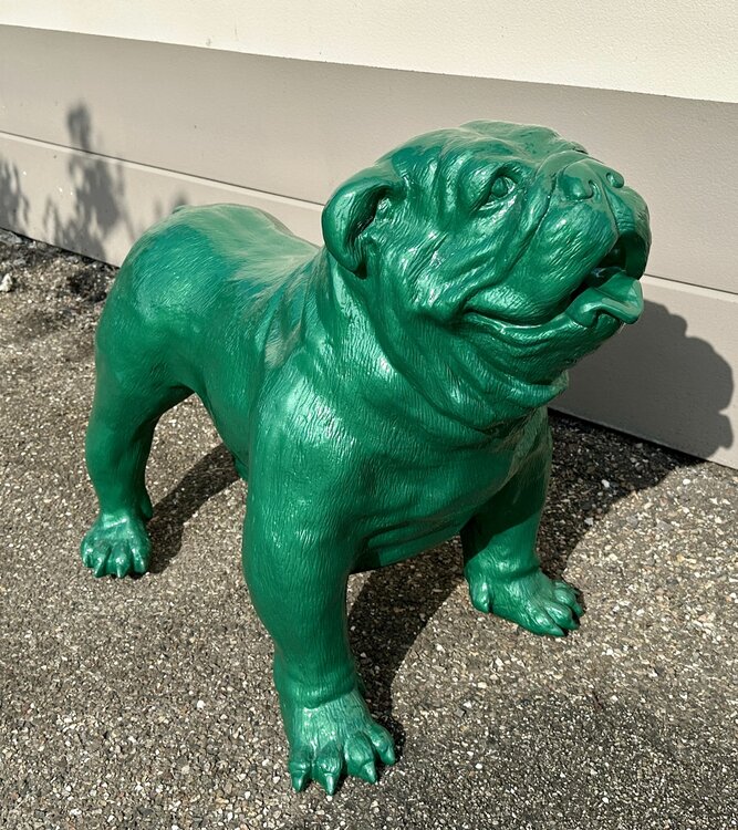 Engelse Bulldog - Spike Rolex groen