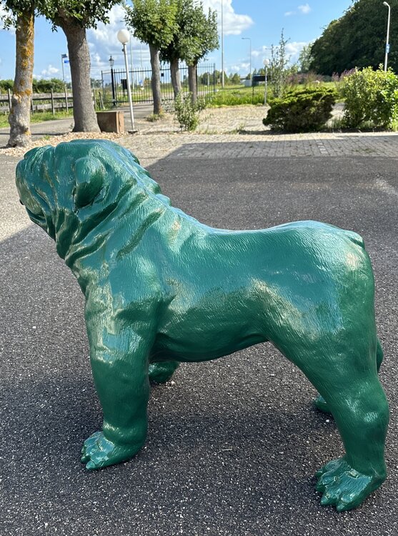 Engelse Bulldog - Spike Rolex groen