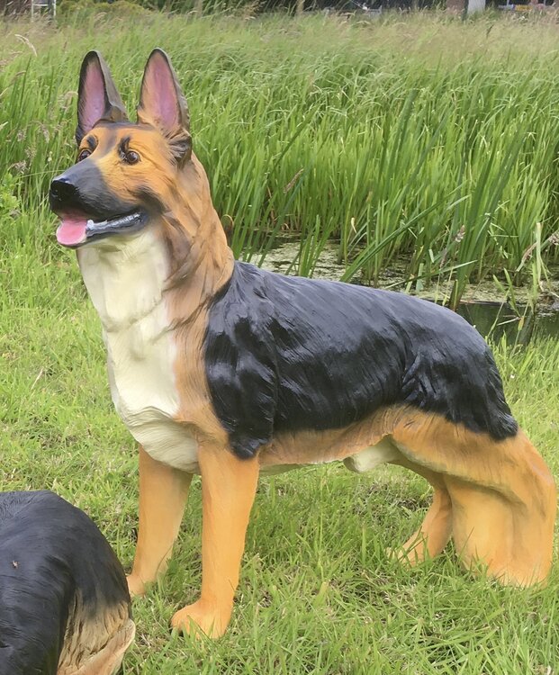 Hond Herdershond levensgroot