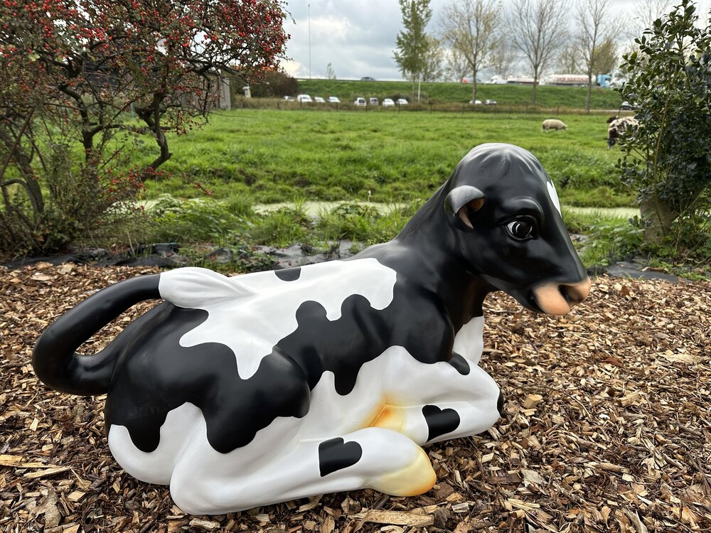 koe  kalf liggend - zwartbont - 87cm
