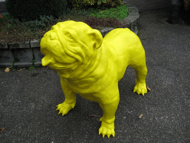 engelse bulldog Spike geel-hond