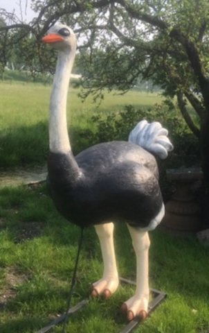 struisvogel beeld ware grootte life size 190cm