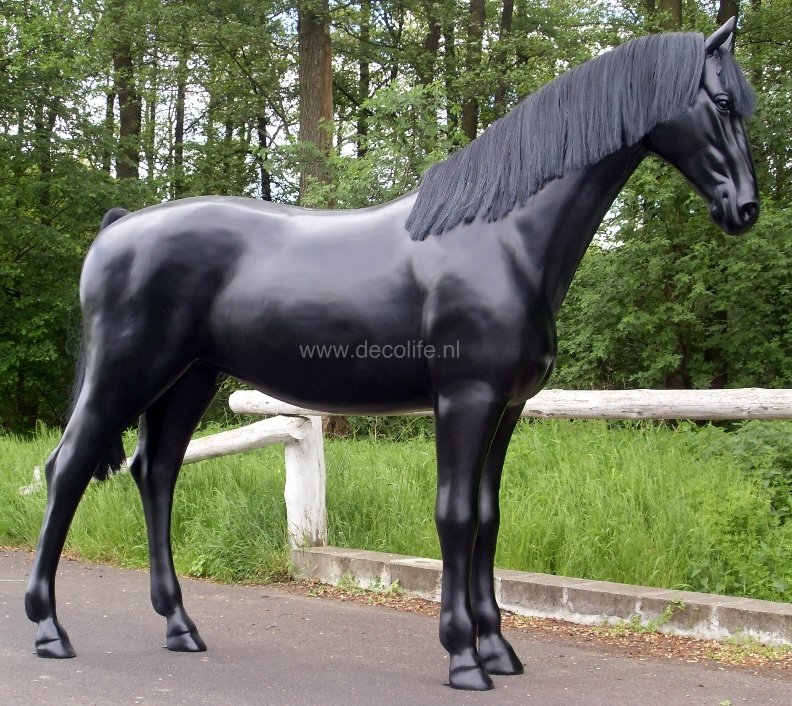 Levensgroot paard zwart met manen en staart