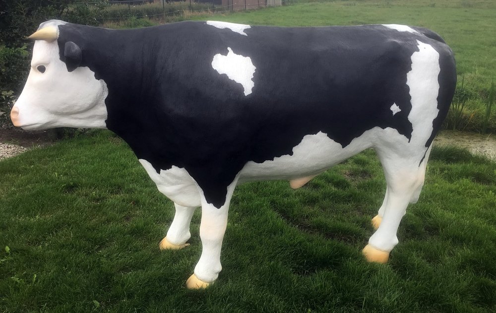 Holsteiner Friesian stier bull Anton levens groot beeld