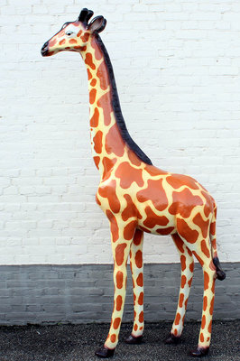 Giraffe Beeld  Polyester 210 cm
