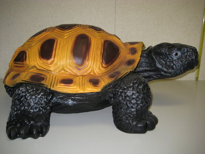 SCHILDPAD  BEELD REUZEN SCHILDPAD