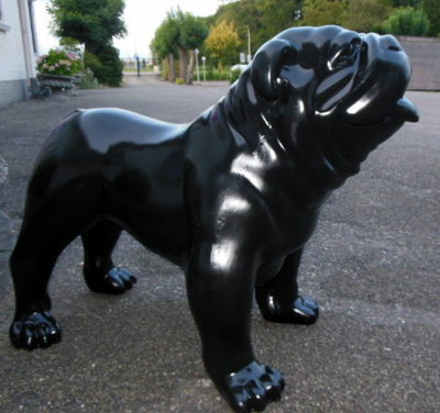 Engelse bulldog - zwart glad polijst XL