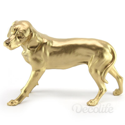 Dalmatier - staand-goud