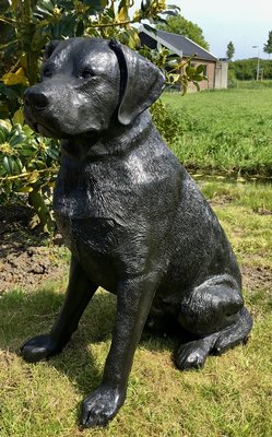 Labrador hond beeld zittend zwart