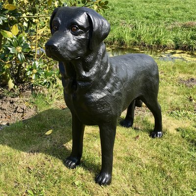 Labrador zwart polyester staand