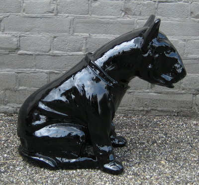 bull terrier zwart hoogglans 50cm