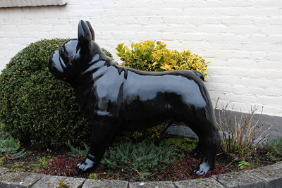 Franse bulldog 98cm polyester beeld zwart