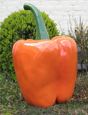 Paprika oranjebeeld xl