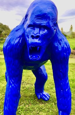Aap Gorilla Bokito