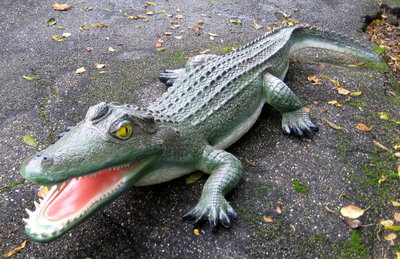 Krokodil polyester 215cm natuur