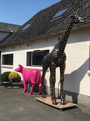 Giraffe kunstbeeld levensgroot zwart goldline 330cm XXL **