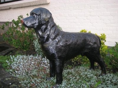 Labrador zwart polyester staand