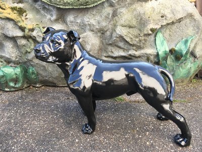 Staffordshire Bull Terriër