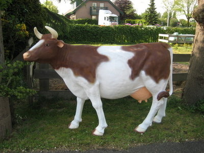 Levensgrote koe 