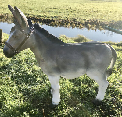 Ezel Donkey polyester Beeld