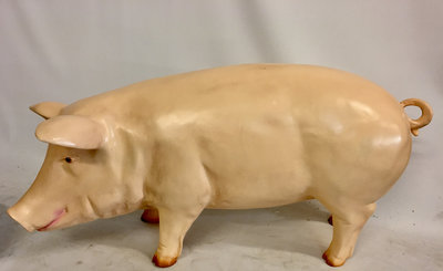 Varken groot 100cm