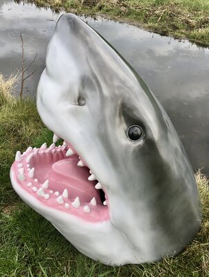 haaienkop - haai - polyester beeld-levensgroot