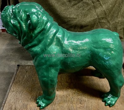 Engelse Bulldog - Spike Rolex groen