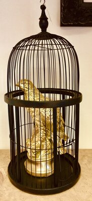 vogel goud kleur in zwarte kooi 60x28cm