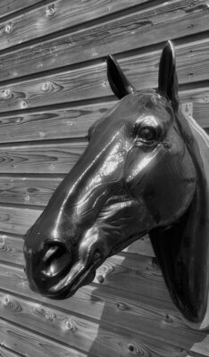 paardenhoofd polyester wanddecoratie 82cm