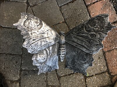 vlinder Xl zilverkleur polystone
