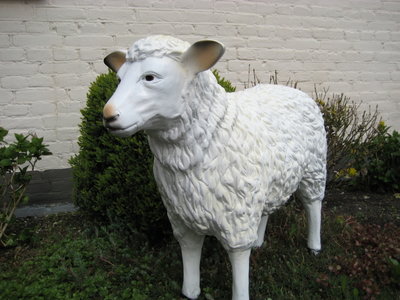 Schaap Beeld staand 80cm