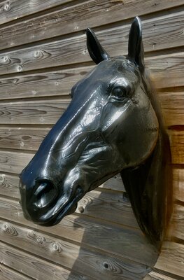paardenhoofd polyester wanddecoratie 82cm