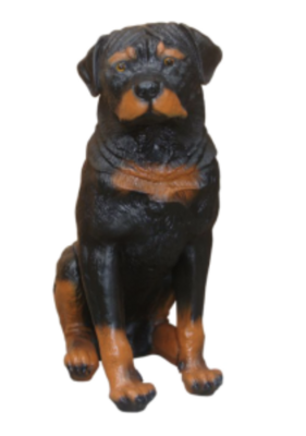 Hond beeld Rottweiler Zittend