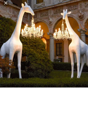 Giraffe kunstbeeld levensgroot wit  autolak 330cm **