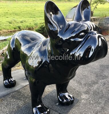 Franse Bulldog Byou XXL zwart- gepolijst polyester-hond