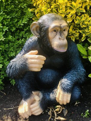Chimpansee aap zittend