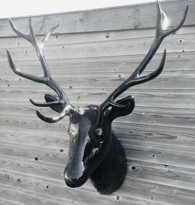 Hert Hertenkop  gewei Edelhert Zwart